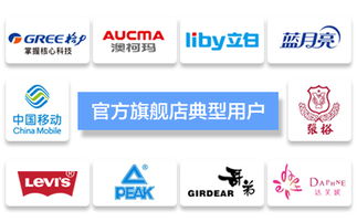 臺(tái)州飛速網(wǎng)絡(luò) 一站式網(wǎng)站建設(shè)、淘寶代運(yùn)營(yíng)與優(yōu)化服務(wù)專家